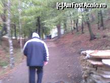 [P07] Cararea ce urca spre poiana!  » foto by wasi
 - 
<span class="allrVoted glyphicon glyphicon-heart hidden" id="av382572"></span>
<a class="m-l-10 hidden" id="sv382572" onclick="voting_Foto_DelVot(,382572,11234)" role="button">șterge vot <span class="glyphicon glyphicon-remove"></span></a>
<a id="v9382572" class=" c-red"  onclick="voting_Foto_SetVot(382572)" role="button"><span class="glyphicon glyphicon-heart-empty"></span> <b>LIKE</b> = Votează poza</a> <img class="hidden"  id="f382572W9" src="/imagini/loader.gif" border="0" /><span class="AjErrMes hidden" id="e382572ErM"></span>