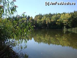 [P13] MELEDIC / Lacul Mare văzut din alt unghi.  » foto by Floryn81
 - 
<span class="allrVoted glyphicon glyphicon-heart hidden" id="av376481"></span>
<a class="m-l-10 hidden" id="sv376481" onclick="voting_Foto_DelVot(,376481,11241)" role="button">șterge vot <span class="glyphicon glyphicon-remove"></span></a>
<a id="v9376481" class=" c-red"  onclick="voting_Foto_SetVot(376481)" role="button"><span class="glyphicon glyphicon-heart-empty"></span> <b>LIKE</b> = Votează poza</a> <img class="hidden"  id="f376481W9" src="/imagini/loader.gif" border="0" /><span class="AjErrMes hidden" id="e376481ErM"></span>