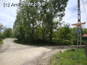[P41] La intrarea în satul Plaiul Nucului am observat un mic indicator spre stânga către un drum comunal pe care am străbătut ultimii doi kilometri până la lacul Mocearu.  » foto by Floryn81
 - 
<span class="allrVoted glyphicon glyphicon-heart hidden" id="av740231"></span>
<a class="m-l-10 hidden" id="sv740231" onclick="voting_Foto_DelVot(,740231,11241)" role="button">șterge vot <span class="glyphicon glyphicon-remove"></span></a>
<a id="v9740231" class=" c-red"  onclick="voting_Foto_SetVot(740231)" role="button"><span class="glyphicon glyphicon-heart-empty"></span> <b>LIKE</b> = Votează poza</a> <img class="hidden"  id="f740231W9" src="/imagini/loader.gif" border="0" /><span class="AjErrMes hidden" id="e740231ErM"></span>