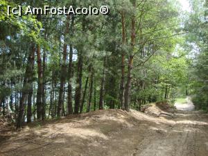 [P45] Coborâm pe drumul forestier către lacul Mocearu.  » foto by Floryn81
 - 
<span class="allrVoted glyphicon glyphicon-heart hidden" id="av740235"></span>
<a class="m-l-10 hidden" id="sv740235" onclick="voting_Foto_DelVot(,740235,11241)" role="button">șterge vot <span class="glyphicon glyphicon-remove"></span></a>
<a id="v9740235" class=" c-red"  onclick="voting_Foto_SetVot(740235)" role="button"><span class="glyphicon glyphicon-heart-empty"></span> <b>LIKE</b> = Votează poza</a> <img class="hidden"  id="f740235W9" src="/imagini/loader.gif" border="0" /><span class="AjErrMes hidden" id="e740235ErM"></span>