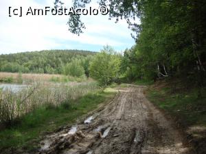 [P49] Avansăm încet pe drumul forestier din apropierea lacului Mocearu. Pentru că a tot plouat în ultimul timp, avem parte de ceva probleme în alegerea unei poteci potrivite. » foto by Floryn81
 - 
<span class="allrVoted glyphicon glyphicon-heart hidden" id="av740240"></span>
<a class="m-l-10 hidden" id="sv740240" onclick="voting_Foto_DelVot(,740240,11241)" role="button">șterge vot <span class="glyphicon glyphicon-remove"></span></a>
<a id="v9740240" class=" c-red"  onclick="voting_Foto_SetVot(740240)" role="button"><span class="glyphicon glyphicon-heart-empty"></span> <b>LIKE</b> = Votează poza</a> <img class="hidden"  id="f740240W9" src="/imagini/loader.gif" border="0" /><span class="AjErrMes hidden" id="e740240ErM"></span>