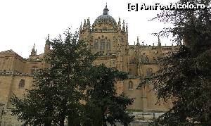 [P27]  -- <small>// FĂRĂ DESCRIERE</small> » foto by alinaro
 - 
<span class="allrVoted glyphicon glyphicon-heart hidden" id="av673064"></span>
<a class="m-l-10 hidden" id="sv673064" onclick="voting_Foto_DelVot(,673064,11267)" role="button">șterge vot <span class="glyphicon glyphicon-remove"></span></a>
<a id="v9673064" class=" c-red"  onclick="voting_Foto_SetVot(673064)" role="button"><span class="glyphicon glyphicon-heart-empty"></span> <b>LIKE</b> = Votează poza</a> <img class="hidden"  id="f673064W9" src="/imagini/loader.gif" border="0" /><span class="AjErrMes hidden" id="e673064ErM"></span>