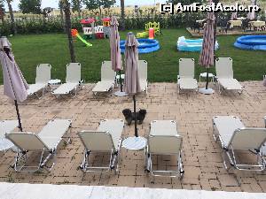 [P05] Gradina cu sezlonguri, piscine şi legane pentru cei mici.  » foto by alinafulg
 - 
<span class="allrVoted glyphicon glyphicon-heart hidden" id="av536440"></span>
<a class="m-l-10 hidden" id="sv536440" onclick="voting_Foto_DelVot(,536440,11278)" role="button">șterge vot <span class="glyphicon glyphicon-remove"></span></a>
<a id="v9536440" class=" c-red"  onclick="voting_Foto_SetVot(536440)" role="button"><span class="glyphicon glyphicon-heart-empty"></span> <b>LIKE</b> = Votează poza</a> <img class="hidden"  id="f536440W9" src="/imagini/loader.gif" border="0" /><span class="AjErrMes hidden" id="e536440ErM"></span>