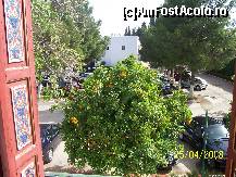 [P01] Aleea din fata hotelului era plina de portocali. Acesta este cel din fata ferestrei camerei unde am stat. » foto by alinaro
 - 
<span class="allrVoted glyphicon glyphicon-heart hidden" id="av305533"></span>
<a class="m-l-10 hidden" id="sv305533" onclick="voting_Foto_DelVot(,305533,11283)" role="button">șterge vot <span class="glyphicon glyphicon-remove"></span></a>
<a id="v9305533" class=" c-red"  onclick="voting_Foto_SetVot(305533)" role="button"><span class="glyphicon glyphicon-heart-empty"></span> <b>LIKE</b> = Votează poza</a> <img class="hidden"  id="f305533W9" src="/imagini/loader.gif" border="0" /><span class="AjErrMes hidden" id="e305533ErM"></span>