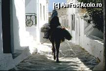 [P09] Strada din Chora
fotografie incarcata de pe http://www.thegreektravel.com » foto by webmaster
 - 
<span class="allrVoted glyphicon glyphicon-heart hidden" id="av305891"></span>
<a class="m-l-10 hidden" id="sv305891" onclick="voting_Foto_DelVot(,305891,11293)" role="button">șterge vot <span class="glyphicon glyphicon-remove"></span></a>
<a id="v9305891" class=" c-red"  onclick="voting_Foto_SetVot(305891)" role="button"><span class="glyphicon glyphicon-heart-empty"></span> <b>LIKE</b> = Votează poza</a> <img class="hidden"  id="f305891W9" src="/imagini/loader.gif" border="0" /><span class="AjErrMes hidden" id="e305891ErM"></span>