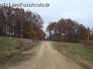 [P03] După câteva minute am ajuns la marginea pădurii; este momentul pentru un prim popas, trebuie să admirăm mai bine împrejurimile.  » foto by Floryn81
 - 
<span class="allrVoted glyphicon glyphicon-heart hidden" id="av809026"></span>
<a class="m-l-10 hidden" id="sv809026" onclick="voting_Foto_DelVot(,809026,11329)" role="button">șterge vot <span class="glyphicon glyphicon-remove"></span></a>
<a id="v9809026" class=" c-red"  onclick="voting_Foto_SetVot(809026)" role="button"><span class="glyphicon glyphicon-heart-empty"></span> <b>LIKE</b> = Votează poza</a> <img class="hidden"  id="f809026W9" src="/imagini/loader.gif" border="0" /><span class="AjErrMes hidden" id="e809026ErM"></span>