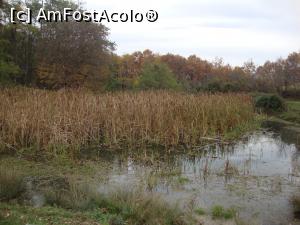 [P09] Pe partea dreaptă a drumului am remarcat un lac micuț; am oprit, am lăsat mașina în apropiere și de aici am pornit pe jos către obiectivul nostru. Doar pentru asta ieșisem din casă, ca să ne plimbăm puțin!  » foto by Floryn81
 - 
<span class="allrVoted glyphicon glyphicon-heart hidden" id="av809036"></span>
<a class="m-l-10 hidden" id="sv809036" onclick="voting_Foto_DelVot(,809036,11329)" role="button">șterge vot <span class="glyphicon glyphicon-remove"></span></a>
<a id="v9809036" class=" c-red"  onclick="voting_Foto_SetVot(809036)" role="button"><span class="glyphicon glyphicon-heart-empty"></span> <b>LIKE</b> = Votează poza</a> <img class="hidden"  id="f809036W9" src="/imagini/loader.gif" border="0" /><span class="AjErrMes hidden" id="e809036ErM"></span>