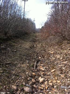 [P10] Partea bună a drumului off road » foto by Yersinia Pestis
 - 
<span class="allrVoted glyphicon glyphicon-heart hidden" id="av607565"></span>
<a class="m-l-10 hidden" id="sv607565" onclick="voting_Foto_DelVot(,607565,11329)" role="button">șterge vot <span class="glyphicon glyphicon-remove"></span></a>
<a id="v9607565" class=" c-red"  onclick="voting_Foto_SetVot(607565)" role="button"><span class="glyphicon glyphicon-heart-empty"></span> <b>LIKE</b> = Votează poza</a> <img class="hidden"  id="f607565W9" src="/imagini/loader.gif" border="0" /><span class="AjErrMes hidden" id="e607565ErM"></span>