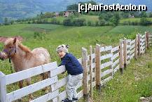 [P15] poiana marului ranch - super peisaj » foto by rudsaba
 - 
<span class="allrVoted glyphicon glyphicon-heart hidden" id="av375153"></span>
<a class="m-l-10 hidden" id="sv375153" onclick="voting_Foto_DelVot(,375153,11334)" role="button">șterge vot <span class="glyphicon glyphicon-remove"></span></a>
<a id="v9375153" class=" c-red"  onclick="voting_Foto_SetVot(375153)" role="button"><span class="glyphicon glyphicon-heart-empty"></span> <b>LIKE</b> = Votează poza</a> <img class="hidden"  id="f375153W9" src="/imagini/loader.gif" border="0" /><span class="AjErrMes hidden" id="e375153ErM"></span>