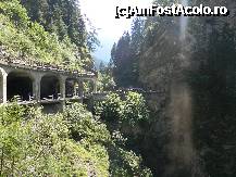 [P10] Viaductul prin care trece drumul din Via Mala, faurit pt a proteja valea de caderile stancilor » foto by ileanaxperta*
 - 
<span class="allrVoted glyphicon glyphicon-heart hidden" id="av307533"></span>
<a class="m-l-10 hidden" id="sv307533" onclick="voting_Foto_DelVot(,307533,11342)" role="button">șterge vot <span class="glyphicon glyphicon-remove"></span></a>
<a id="v9307533" class=" c-red"  onclick="voting_Foto_SetVot(307533)" role="button"><span class="glyphicon glyphicon-heart-empty"></span> <b>LIKE</b> = Votează poza</a> <img class="hidden"  id="f307533W9" src="/imagini/loader.gif" border="0" /><span class="AjErrMes hidden" id="e307533ErM"></span>
