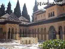 [P32] Alhambra - curtea cu lei » foto by DaniX
 - 
<span class="allrVoted glyphicon glyphicon-heart hidden" id="av307708"></span>
<a class="m-l-10 hidden" id="sv307708" onclick="voting_Foto_DelVot(,307708,11345)" role="button">șterge vot <span class="glyphicon glyphicon-remove"></span></a>
<a id="v9307708" class=" c-red"  onclick="voting_Foto_SetVot(307708)" role="button"><span class="glyphicon glyphicon-heart-empty"></span> <b>LIKE</b> = Votează poza</a> <img class="hidden"  id="f307708W9" src="/imagini/loader.gif" border="0" /><span class="AjErrMes hidden" id="e307708ErM"></span>
