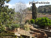 [P34] Gradinile Generalife [2] » foto by DaniX
 - 
<span class="allrVoted glyphicon glyphicon-heart hidden" id="av307710"></span>
<a class="m-l-10 hidden" id="sv307710" onclick="voting_Foto_DelVot(,307710,11345)" role="button">șterge vot <span class="glyphicon glyphicon-remove"></span></a>
<a id="v9307710" class=" c-red"  onclick="voting_Foto_SetVot(307710)" role="button"><span class="glyphicon glyphicon-heart-empty"></span> <b>LIKE</b> = Votează poza</a> <img class="hidden"  id="f307710W9" src="/imagini/loader.gif" border="0" /><span class="AjErrMes hidden" id="e307710ErM"></span>