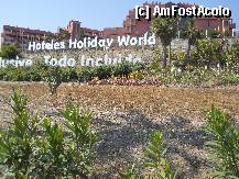 [P08] Complexul Holiday World » foto by DaniX
 - 
<span class="allrVoted glyphicon glyphicon-heart hidden" id="av307681"></span>
<a class="m-l-10 hidden" id="sv307681" onclick="voting_Foto_DelVot(,307681,11345)" role="button">șterge vot <span class="glyphicon glyphicon-remove"></span></a>
<a id="v9307681" class=" c-red"  onclick="voting_Foto_SetVot(307681)" role="button"><span class="glyphicon glyphicon-heart-empty"></span> <b>LIKE</b> = Votează poza</a> <img class="hidden"  id="f307681W9" src="/imagini/loader.gif" border="0" /><span class="AjErrMes hidden" id="e307681ErM"></span>