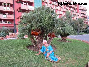 [P02] Hotelul Hallyday Palace! Undeva la etajul IV este apartamentul nostru » foto by bica adriana
 - 
<span class="allrVoted glyphicon glyphicon-heart hidden" id="av516010"></span>
<a class="m-l-10 hidden" id="sv516010" onclick="voting_Foto_DelVot(,516010,11345)" role="button">șterge vot <span class="glyphicon glyphicon-remove"></span></a>
<a id="v9516010" class=" c-red"  onclick="voting_Foto_SetVot(516010)" role="button"><span class="glyphicon glyphicon-heart-empty"></span> <b>LIKE</b> = Votează poza</a> <img class="hidden"  id="f516010W9" src="/imagini/loader.gif" border="0" /><span class="AjErrMes hidden" id="e516010ErM"></span>
