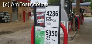 [P38] Oferte tigari » foto by bubica*
 - 
<span class="allrVoted glyphicon glyphicon-heart hidden" id="av1109574"></span>
<a class="m-l-10 hidden" id="sv1109574" onclick="voting_Foto_DelVot(,1109574,11356)" role="button">șterge vot <span class="glyphicon glyphicon-remove"></span></a>
<a id="v91109574" class=" c-red"  onclick="voting_Foto_SetVot(1109574)" role="button"><span class="glyphicon glyphicon-heart-empty"></span> <b>LIKE</b> = Votează poza</a> <img class="hidden"  id="f1109574W9" src="/imagini/loader.gif" border="0" /><span class="AjErrMes hidden" id="e1109574ErM"></span>