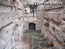 [P31] Italia - Tivoli - Vila lui Adrian - Pretorio » foto by Diaura*
 - 
<span class="allrVoted glyphicon glyphicon-heart hidden" id="av308332"></span>
<a class="m-l-10 hidden" id="sv308332" onclick="voting_Foto_DelVot(,308332,11366)" role="button">șterge vot <span class="glyphicon glyphicon-remove"></span></a>
<a id="v9308332" class=" c-red"  onclick="voting_Foto_SetVot(308332)" role="button"><span class="glyphicon glyphicon-heart-empty"></span> <b>LIKE</b> = Votează poza</a> <img class="hidden"  id="f308332W9" src="/imagini/loader.gif" border="0" /><span class="AjErrMes hidden" id="e308332ErM"></span>
