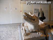 [P40] Italia - Tivoli - Vila lui Adrian - muzeul » foto by Diaura*
 - 
<span class="allrVoted glyphicon glyphicon-heart hidden" id="av308341"></span>
<a class="m-l-10 hidden" id="sv308341" onclick="voting_Foto_DelVot(,308341,11366)" role="button">șterge vot <span class="glyphicon glyphicon-remove"></span></a>
<a id="v9308341" class=" c-red"  onclick="voting_Foto_SetVot(308341)" role="button"><span class="glyphicon glyphicon-heart-empty"></span> <b>LIKE</b> = Votează poza</a> <img class="hidden"  id="f308341W9" src="/imagini/loader.gif" border="0" /><span class="AjErrMes hidden" id="e308341ErM"></span>