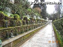 [P13] Italia - Tivoli - Vila d'Este - Aleea celor 100 de fantani » foto by Diaura*
 - 
<span class="allrVoted glyphicon glyphicon-heart hidden" id="av308397"></span>
<a class="m-l-10 hidden" id="sv308397" onclick="voting_Foto_DelVot(,308397,11366)" role="button">șterge vot <span class="glyphicon glyphicon-remove"></span></a>
<a id="v9308397" class=" c-red"  onclick="voting_Foto_SetVot(308397)" role="button"><span class="glyphicon glyphicon-heart-empty"></span> <b>LIKE</b> = Votează poza</a> <img class="hidden"  id="f308397W9" src="/imagini/loader.gif" border="0" /><span class="AjErrMes hidden" id="e308397ErM"></span>