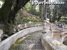 [P16] Italia - Tivoli - Vila d'Este - pe stanga printre scoici curge apa » foto by Diaura*
 - 
<span class="allrVoted glyphicon glyphicon-heart hidden" id="av308402"></span>
<a class="m-l-10 hidden" id="sv308402" onclick="voting_Foto_DelVot(,308402,11366)" role="button">șterge vot <span class="glyphicon glyphicon-remove"></span></a>
<a id="v9308402" class=" c-red"  onclick="voting_Foto_SetVot(308402)" role="button"><span class="glyphicon glyphicon-heart-empty"></span> <b>LIKE</b> = Votează poza</a> <img class="hidden"  id="f308402W9" src="/imagini/loader.gif" border="0" /><span class="AjErrMes hidden" id="e308402ErM"></span>