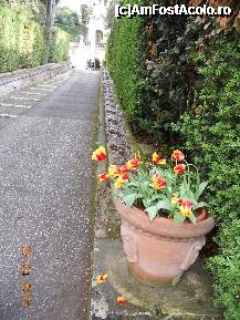 [P23] Italia - Tivoli - Vila d'Este - aleea ce duce la Fantana cu Orga » foto by Diaura*
 - 
<span class="allrVoted glyphicon glyphicon-heart hidden" id="av308410"></span>
<a class="m-l-10 hidden" id="sv308410" onclick="voting_Foto_DelVot(,308410,11366)" role="button">șterge vot <span class="glyphicon glyphicon-remove"></span></a>
<a id="v9308410" class=" c-red"  onclick="voting_Foto_SetVot(308410)" role="button"><span class="glyphicon glyphicon-heart-empty"></span> <b>LIKE</b> = Votează poza</a> <img class="hidden"  id="f308410W9" src="/imagini/loader.gif" border="0" /><span class="AjErrMes hidden" id="e308410ErM"></span>