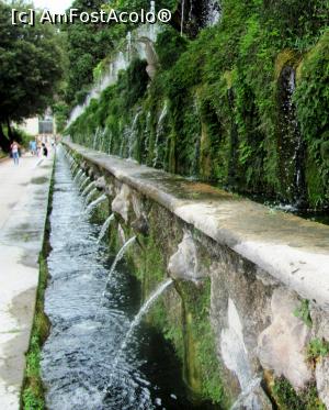 [P09] Villa d'Este. Le Cento Fontane » foto by Radu Tudoran
 - 
<span class="allrVoted glyphicon glyphicon-heart hidden" id="av714618"></span>
<a class="m-l-10 hidden" id="sv714618" onclick="voting_Foto_DelVot(,714618,11366)" role="button">șterge vot <span class="glyphicon glyphicon-remove"></span></a>
<a id="v9714618" class=" c-red"  onclick="voting_Foto_SetVot(714618)" role="button"><span class="glyphicon glyphicon-heart-empty"></span> <b>LIKE</b> = Votează poza</a> <img class="hidden"  id="f714618W9" src="/imagini/loader.gif" border="0" /><span class="AjErrMes hidden" id="e714618ErM"></span>