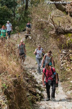 [P02] TRECKING PE ANAPURNA » foto by buterfly*
 - 
<span class="allrVoted glyphicon glyphicon-heart hidden" id="av502308"></span>
<a class="m-l-10 hidden" id="sv502308" onclick="voting_Foto_DelVot(,502308,11367)" role="button">șterge vot <span class="glyphicon glyphicon-remove"></span></a>
<a id="v9502308" class=" c-red"  onclick="voting_Foto_SetVot(502308)" role="button"><span class="glyphicon glyphicon-heart-empty"></span> <b>LIKE</b> = Votează poza</a> <img class="hidden"  id="f502308W9" src="/imagini/loader.gif" border="0" /><span class="AjErrMes hidden" id="e502308ErM"></span>