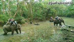 [P03] SAFARI PE ELEFANTI LA CHITWAN-VEZI RINOCERUL CU PUI IN CENTRUL IMAGINII IN APA » foto by buterfly*
 - 
<span class="allrVoted glyphicon glyphicon-heart hidden" id="av502309"></span>
<a class="m-l-10 hidden" id="sv502309" onclick="voting_Foto_DelVot(,502309,11367)" role="button">șterge vot <span class="glyphicon glyphicon-remove"></span></a>
<a id="v9502309" class=" c-red"  onclick="voting_Foto_SetVot(502309)" role="button"><span class="glyphicon glyphicon-heart-empty"></span> <b>LIKE</b> = Votează poza</a> <img class="hidden"  id="f502309W9" src="/imagini/loader.gif" border="0" /><span class="AjErrMes hidden" id="e502309ErM"></span>