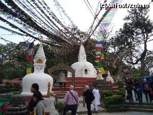 [P36] STUPA CU MAIMUTE » foto by buterfly*
 - 
<span class="allrVoted glyphicon glyphicon-heart hidden" id="av502516"></span>
<a class="m-l-10 hidden" id="sv502516" onclick="voting_Foto_DelVot(,502516,11367)" role="button">șterge vot <span class="glyphicon glyphicon-remove"></span></a>
<a id="v9502516" class=" c-red"  onclick="voting_Foto_SetVot(502516)" role="button"><span class="glyphicon glyphicon-heart-empty"></span> <b>LIKE</b> = Votează poza</a> <img class="hidden"  id="f502516W9" src="/imagini/loader.gif" border="0" /><span class="AjErrMes hidden" id="e502516ErM"></span>