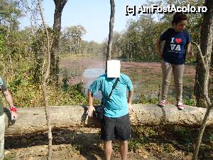 [P17] lacul rozaliu » foto by buterfly*
 - 
<span class="allrVoted glyphicon glyphicon-heart hidden" id="av511041"></span>
<a class="m-l-10 hidden" id="sv511041" onclick="voting_Foto_DelVot(,511041,11367)" role="button">șterge vot <span class="glyphicon glyphicon-remove"></span></a>
<a id="v9511041" class=" c-red"  onclick="voting_Foto_SetVot(511041)" role="button"><span class="glyphicon glyphicon-heart-empty"></span> <b>LIKE</b> = Votează poza</a> <img class="hidden"  id="f511041W9" src="/imagini/loader.gif" border="0" /><span class="AjErrMes hidden" id="e511041ErM"></span>