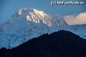 [P34] annapurna south » foto by buterfly*
 - 
<span class="allrVoted glyphicon glyphicon-heart hidden" id="av511491"></span>
<a class="m-l-10 hidden" id="sv511491" onclick="voting_Foto_DelVot(,511491,11367)" role="button">șterge vot <span class="glyphicon glyphicon-remove"></span></a>
<a id="v9511491" class=" c-red"  onclick="voting_Foto_SetVot(511491)" role="button"><span class="glyphicon glyphicon-heart-empty"></span> <b>LIKE</b> = Votează poza</a> <img class="hidden"  id="f511491W9" src="/imagini/loader.gif" border="0" /><span class="AjErrMes hidden" id="e511491ErM"></span>