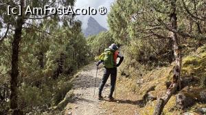 [P10] Spre Phedi » foto by Mika
 - 
<span class="allrVoted glyphicon glyphicon-heart hidden" id="av1505226"></span>
<a class="m-l-10 hidden" id="sv1505226" onclick="voting_Foto_DelVot(,1505226,11367)" role="button">șterge vot <span class="glyphicon glyphicon-remove"></span></a>
<a id="v91505226" class=" c-red"  onclick="voting_Foto_SetVot(1505226)" role="button"><span class="glyphicon glyphicon-heart-empty"></span> <b>LIKE</b> = Votează poza</a> <img class="hidden"  id="f1505226W9" src="/imagini/loader.gif" border="0" /><span class="AjErrMes hidden" id="e1505226ErM"></span>