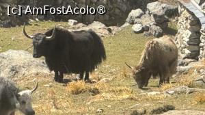 [P64]  -- <small>// FĂRĂ DESCRIERE</small> » foto by Mika
 - 
<span class="allrVoted glyphicon glyphicon-heart hidden" id="av1506048"></span>
<a class="m-l-10 hidden" id="sv1506048" onclick="voting_Foto_DelVot(,1506048,11367)" role="button">șterge vot <span class="glyphicon glyphicon-remove"></span></a>
<a id="v91506048" class=" c-red"  onclick="voting_Foto_SetVot(1506048)" role="button"><span class="glyphicon glyphicon-heart-empty"></span> <b>LIKE</b> = Votează poza</a> <img class="hidden"  id="f1506048W9" src="/imagini/loader.gif" border="0" /><span class="AjErrMes hidden" id="e1506048ErM"></span>