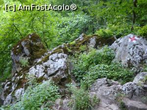 [P22]  -- <small>// FĂRĂ DESCRIERE</small> » foto by mariandan
 - 
<span class="allrVoted glyphicon glyphicon-heart hidden" id="av872186"></span>
<a class="m-l-10 hidden" id="sv872186" onclick="voting_Foto_DelVot(,872186,11383)" role="button">șterge vot <span class="glyphicon glyphicon-remove"></span></a>
<a id="v9872186" class=" c-red"  onclick="voting_Foto_SetVot(872186)" role="button"><span class="glyphicon glyphicon-heart-empty"></span> <b>LIKE</b> = Votează poza</a> <img class="hidden"  id="f872186W9" src="/imagini/loader.gif" border="0" /><span class="AjErrMes hidden" id="e872186ErM"></span>
