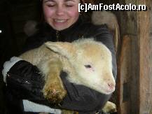 [P07] un mielusor nou fatat avea cateva zile!! Absolut superb!! locatia sus pe colina cum am scris in descriere ;) » foto by adi_diabllo
 - 
<span class="allrVoted glyphicon glyphicon-heart hidden" id="av309178"></span>
<a class="m-l-10 hidden" id="sv309178" onclick="voting_Foto_DelVot(,309178,11384)" role="button">șterge vot <span class="glyphicon glyphicon-remove"></span></a>
<a id="v9309178" class=" c-red"  onclick="voting_Foto_SetVot(309178)" role="button"><span class="glyphicon glyphicon-heart-empty"></span> <b>LIKE</b> = Votează poza</a> <img class="hidden"  id="f309178W9" src="/imagini/loader.gif" border="0" /><span class="AjErrMes hidden" id="e309178ErM"></span>