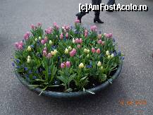 [P13]  -- <small>// FĂRĂ DESCRIERE</small> » foto by getty75
 - 
<span class="allrVoted glyphicon glyphicon-heart hidden" id="av309582"></span>
<a class="m-l-10 hidden" id="sv309582" onclick="voting_Foto_DelVot(,309582,11391)" role="button">șterge vot <span class="glyphicon glyphicon-remove"></span></a>
<a id="v9309582" class=" c-red"  onclick="voting_Foto_SetVot(309582)" role="button"><span class="glyphicon glyphicon-heart-empty"></span> <b>LIKE</b> = Votează poza</a> <img class="hidden"  id="f309582W9" src="/imagini/loader.gif" border="0" /><span class="AjErrMes hidden" id="e309582ErM"></span>