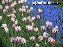 [P14]  -- <small>// FĂRĂ DESCRIERE</small> » foto by getty75
 - 
<span class="allrVoted glyphicon glyphicon-heart hidden" id="av309585"></span>
<a class="m-l-10 hidden" id="sv309585" onclick="voting_Foto_DelVot(,309585,11391)" role="button">șterge vot <span class="glyphicon glyphicon-remove"></span></a>
<a id="v9309585" class=" c-red"  onclick="voting_Foto_SetVot(309585)" role="button"><span class="glyphicon glyphicon-heart-empty"></span> <b>LIKE</b> = Votează poza</a> <img class="hidden"  id="f309585W9" src="/imagini/loader.gif" border="0" /><span class="AjErrMes hidden" id="e309585ErM"></span>