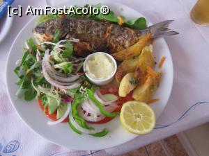 [P18] 'Dorada' - la taverna » foto by bica adriana
 - 
<span class="allrVoted glyphicon glyphicon-heart hidden" id="av976691"></span>
<a class="m-l-10 hidden" id="sv976691" onclick="voting_Foto_DelVot(,976691,11394)" role="button">șterge vot <span class="glyphicon glyphicon-remove"></span></a>
<a id="v9976691" class=" c-red"  onclick="voting_Foto_SetVot(976691)" role="button"><span class="glyphicon glyphicon-heart-empty"></span> <b>LIKE</b> = Votează poza</a> <img class="hidden"  id="f976691W9" src="/imagini/loader.gif" border="0" /><span class="AjErrMes hidden" id="e976691ErM"></span>