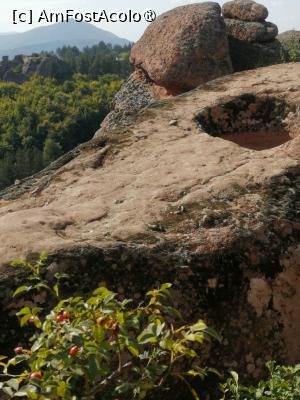 [P06]  -- <small>// FĂRĂ DESCRIERE</small> » foto by Cristian_h
 - 
<span class="allrVoted glyphicon glyphicon-heart hidden" id="av1518774"></span>
<a class="m-l-10 hidden" id="sv1518774" onclick="voting_Foto_DelVot(,1518774,11404)" role="button">șterge vot <span class="glyphicon glyphicon-remove"></span></a>
<a id="v91518774" class=" c-red"  onclick="voting_Foto_SetVot(1518774)" role="button"><span class="glyphicon glyphicon-heart-empty"></span> <b>LIKE</b> = Votează poza</a> <img class="hidden"  id="f1518774W9" src="/imagini/loader.gif" border="0" /><span class="AjErrMes hidden" id="e1518774ErM"></span>