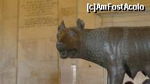 [P33] Are privirea rea lupoaica... dar e mama noastră;)! Muzeele Capitoline » foto by nickro
 - 
<span class="allrVoted glyphicon glyphicon-heart hidden" id="av228255"></span>
<a class="m-l-10 hidden" id="sv228255" onclick="voting_Foto_DelVot(,228255,11412)" role="button">șterge vot <span class="glyphicon glyphicon-remove"></span></a>
<a id="v9228255" class=" c-red"  onclick="voting_Foto_SetVot(228255)" role="button"><span class="glyphicon glyphicon-heart-empty"></span> <b>LIKE</b> = Votează poza</a> <img class="hidden"  id="f228255W9" src="/imagini/loader.gif" border="0" /><span class="AjErrMes hidden" id="e228255ErM"></span>
