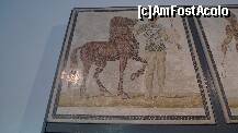 [P34] Mozaic - Museo Nazionale Romano » foto by nickro
 - 
<span class="allrVoted glyphicon glyphicon-heart hidden" id="av229269"></span>
<a class="m-l-10 hidden" id="sv229269" onclick="voting_Foto_DelVot(,229269,11412)" role="button">șterge vot <span class="glyphicon glyphicon-remove"></span></a>
<a id="v9229269" class=" c-red"  onclick="voting_Foto_SetVot(229269)" role="button"><span class="glyphicon glyphicon-heart-empty"></span> <b>LIKE</b> = Votează poza</a> <img class="hidden"  id="f229269W9" src="/imagini/loader.gif" border="0" /><span class="AjErrMes hidden" id="e229269ErM"></span>