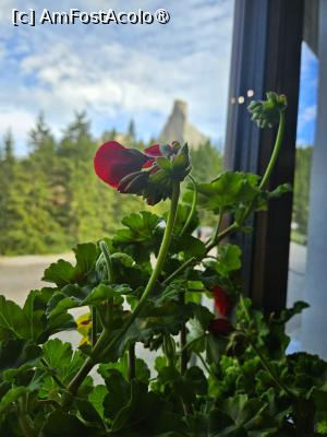 [P14] privelistea de la geamul restaurantului » foto by Opelantara
 - 
<span class="allrVoted glyphicon glyphicon-heart hidden" id="av1501527"></span>
<a class="m-l-10 hidden" id="sv1501527" onclick="voting_Foto_DelVot(,1501527,11439)" role="button">șterge vot <span class="glyphicon glyphicon-remove"></span></a>
<a id="v91501527" class=" c-red"  onclick="voting_Foto_SetVot(1501527)" role="button"><span class="glyphicon glyphicon-heart-empty"></span> <b>LIKE</b> = Votează poza</a> <img class="hidden"  id="f1501527W9" src="/imagini/loader.gif" border="0" /><span class="AjErrMes hidden" id="e1501527ErM"></span>