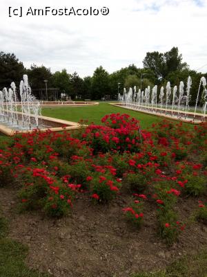 [P12] Parc IOR - Trandafirii roșii ca focul de la intrarea în parcul Cuza » foto by Daisy Petal
 - 
<span class="allrVoted glyphicon glyphicon-heart hidden" id="av1165480"></span>
<a class="m-l-10 hidden" id="sv1165480" onclick="voting_Foto_DelVot(,1165480,11447)" role="button">șterge vot <span class="glyphicon glyphicon-remove"></span></a>
<a id="v91165480" class=" c-red"  onclick="voting_Foto_SetVot(1165480)" role="button"><span class="glyphicon glyphicon-heart-empty"></span> <b>LIKE</b> = Votează poza</a> <img class="hidden"  id="f1165480W9" src="/imagini/loader.gif" border="0" /><span class="AjErrMes hidden" id="e1165480ErM"></span>