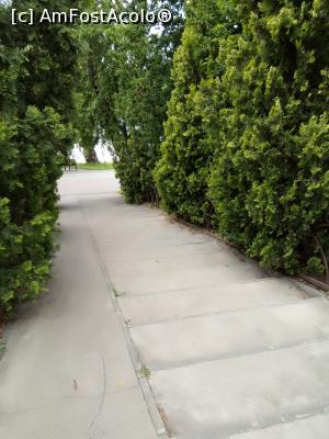 [P04] Parc IOR - Alee ce coboară spre malul apei, străjuită de arbori tuia » foto by Daisy Petal
 - 
<span class="allrVoted glyphicon glyphicon-heart hidden" id="av1165472"></span>
<a class="m-l-10 hidden" id="sv1165472" onclick="voting_Foto_DelVot(,1165472,11447)" role="button">șterge vot <span class="glyphicon glyphicon-remove"></span></a>
<a id="v91165472" class=" c-red"  onclick="voting_Foto_SetVot(1165472)" role="button"><span class="glyphicon glyphicon-heart-empty"></span> <b>LIKE</b> = Votează poza</a> <img class="hidden"  id="f1165472W9" src="/imagini/loader.gif" border="0" /><span class="AjErrMes hidden" id="e1165472ErM"></span>