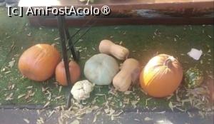 [P25] La intrarea în Parcul Național Lia Manoliu din București » foto by Mioritik
 - 
<span class="allrVoted glyphicon glyphicon-heart hidden" id="av1396104"></span>
<a class="m-l-10 hidden" id="sv1396104" onclick="voting_Foto_DelVot(,1396104,11447)" role="button">șterge vot <span class="glyphicon glyphicon-remove"></span></a>
<a id="v91396104" class=" c-red"  onclick="voting_Foto_SetVot(1396104)" role="button"><span class="glyphicon glyphicon-heart-empty"></span> <b>LIKE</b> = Votează poza</a> <img class="hidden"  id="f1396104W9" src="/imagini/loader.gif" border="0" /><span class="AjErrMes hidden" id="e1396104ErM"></span>