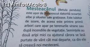 [P19] Parcul Sticlăriei, București » foto by Mioritik
 - 
<span class="allrVoted glyphicon glyphicon-heart hidden" id="av1399985"></span>
<a class="m-l-10 hidden" id="sv1399985" onclick="voting_Foto_DelVot(,1399985,11447)" role="button">șterge vot <span class="glyphicon glyphicon-remove"></span></a>
<a id="v91399985" class=" c-red"  onclick="voting_Foto_SetVot(1399985)" role="button"><span class="glyphicon glyphicon-heart-empty"></span> <b>LIKE</b> = Votează poza</a> <img class="hidden"  id="f1399985W9" src="/imagini/loader.gif" border="0" /><span class="AjErrMes hidden" id="e1399985ErM"></span>