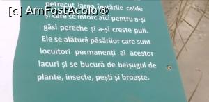 [P24] Parcul Sticlăriei, București » foto by Mioritik
 - 
<span class="allrVoted glyphicon glyphicon-heart hidden" id="av1399990"></span>
<a class="m-l-10 hidden" id="sv1399990" onclick="voting_Foto_DelVot(,1399990,11447)" role="button">șterge vot <span class="glyphicon glyphicon-remove"></span></a>
<a id="v91399990" class=" c-red"  onclick="voting_Foto_SetVot(1399990)" role="button"><span class="glyphicon glyphicon-heart-empty"></span> <b>LIKE</b> = Votează poza</a> <img class="hidden"  id="f1399990W9" src="/imagini/loader.gif" border="0" /><span class="AjErrMes hidden" id="e1399990ErM"></span>