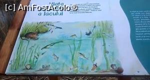 [P26] Parcul Sticlăriei, București » foto by Mioritik
 - 
<span class="allrVoted glyphicon glyphicon-heart hidden" id="av1399992"></span>
<a class="m-l-10 hidden" id="sv1399992" onclick="voting_Foto_DelVot(,1399992,11447)" role="button">șterge vot <span class="glyphicon glyphicon-remove"></span></a>
<a id="v91399992" class=" c-red"  onclick="voting_Foto_SetVot(1399992)" role="button"><span class="glyphicon glyphicon-heart-empty"></span> <b>LIKE</b> = Votează poza</a> <img class="hidden"  id="f1399992W9" src="/imagini/loader.gif" border="0" /><span class="AjErrMes hidden" id="e1399992ErM"></span>