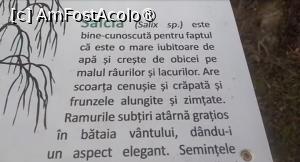 [P29] Parcul Sticlăriei, București » foto by Mioritik
 - 
<span class="allrVoted glyphicon glyphicon-heart hidden" id="av1399995"></span>
<a class="m-l-10 hidden" id="sv1399995" onclick="voting_Foto_DelVot(,1399995,11447)" role="button">șterge vot <span class="glyphicon glyphicon-remove"></span></a>
<a id="v91399995" class=" c-red"  onclick="voting_Foto_SetVot(1399995)" role="button"><span class="glyphicon glyphicon-heart-empty"></span> <b>LIKE</b> = Votează poza</a> <img class="hidden"  id="f1399995W9" src="/imagini/loader.gif" border="0" /><span class="AjErrMes hidden" id="e1399995ErM"></span>