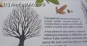 [P36] Parcul Sticlăriei, București » foto by Mioritik
 - 
<span class="allrVoted glyphicon glyphicon-heart hidden" id="av1400002"></span>
<a class="m-l-10 hidden" id="sv1400002" onclick="voting_Foto_DelVot(,1400002,11447)" role="button">șterge vot <span class="glyphicon glyphicon-remove"></span></a>
<a id="v91400002" class=" c-red"  onclick="voting_Foto_SetVot(1400002)" role="button"><span class="glyphicon glyphicon-heart-empty"></span> <b>LIKE</b> = Votează poza</a> <img class="hidden"  id="f1400002W9" src="/imagini/loader.gif" border="0" /><span class="AjErrMes hidden" id="e1400002ErM"></span>