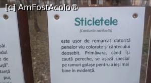 [P38] Parcul Sticlăriei, București » foto by Mioritik
 - 
<span class="allrVoted glyphicon glyphicon-heart hidden" id="av1400004"></span>
<a class="m-l-10 hidden" id="sv1400004" onclick="voting_Foto_DelVot(,1400004,11447)" role="button">șterge vot <span class="glyphicon glyphicon-remove"></span></a>
<a id="v91400004" class=" c-red"  onclick="voting_Foto_SetVot(1400004)" role="button"><span class="glyphicon glyphicon-heart-empty"></span> <b>LIKE</b> = Votează poza</a> <img class="hidden"  id="f1400004W9" src="/imagini/loader.gif" border="0" /><span class="AjErrMes hidden" id="e1400004ErM"></span>